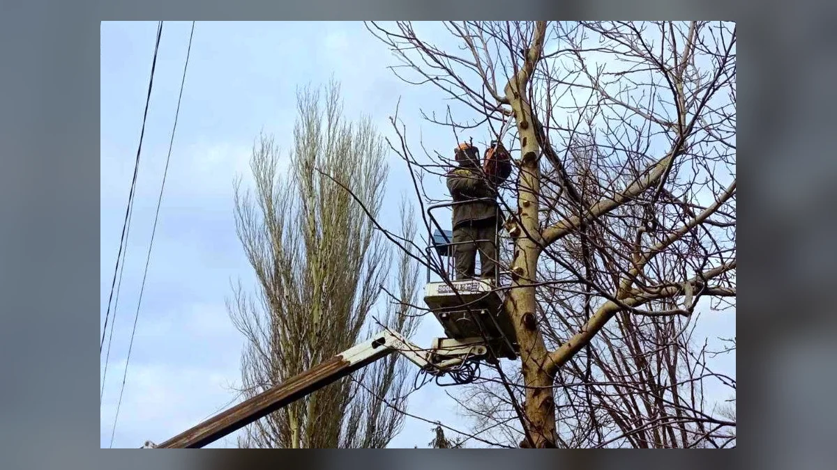 На Дніпропетровщині енергетики закликали обрізати дерева біля ЛЕП